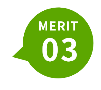 MERIT 03