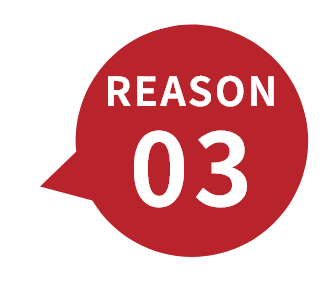 REASON03